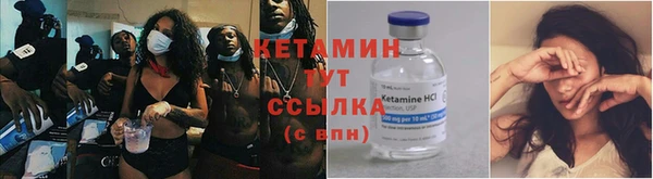 индика Нягань