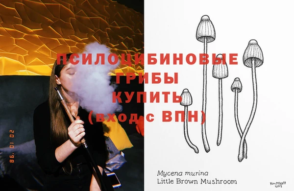 кокс Весьегонск
