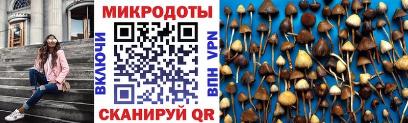 Псилоцибиновые грибы Cubensis где можно купить наркотик Харовск